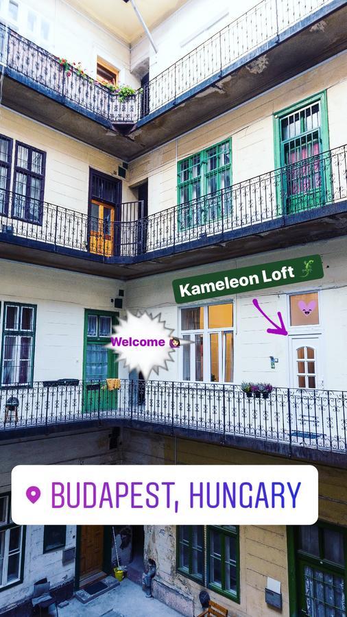 Kameleon Loft Lägenhet Budapest Exteriör bild